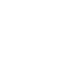 实心铸造技术