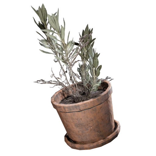 盆栽植物