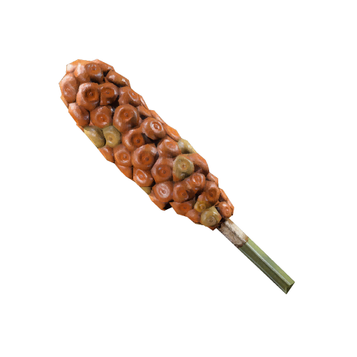 可能有毒的植物