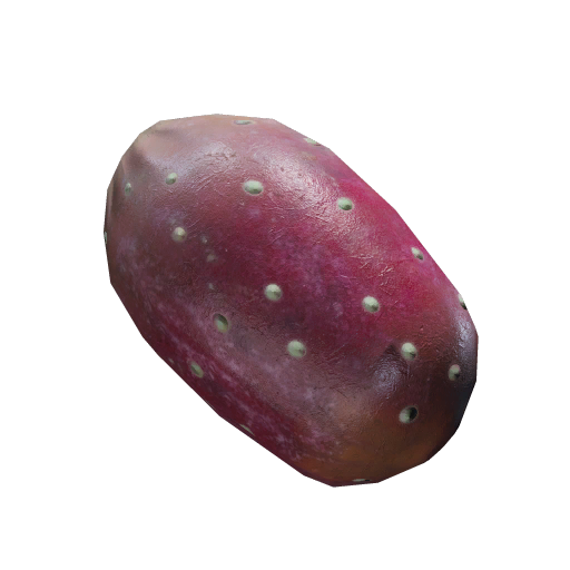 仙人果